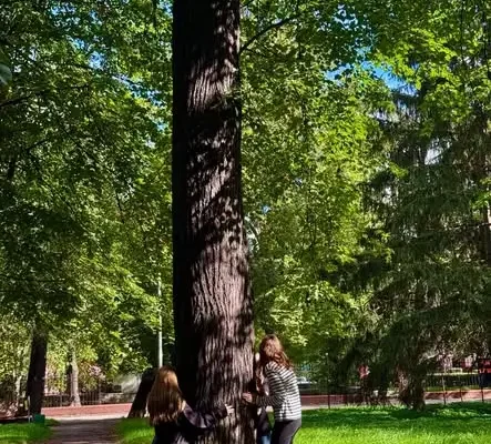 Uczniowie ze Szkoły Podstawowej nr 1 w Jaworze przytulili drzewa w ogólnopolskiej akcji