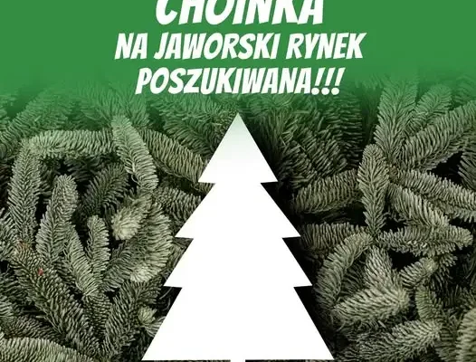 Jawor szuka choinek od mieszkańców. Drzewko ozdobi Rynek