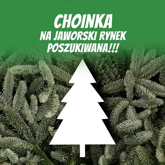 Jawor szuka choinek od mieszkańców. Drzewko ozdobi Rynek